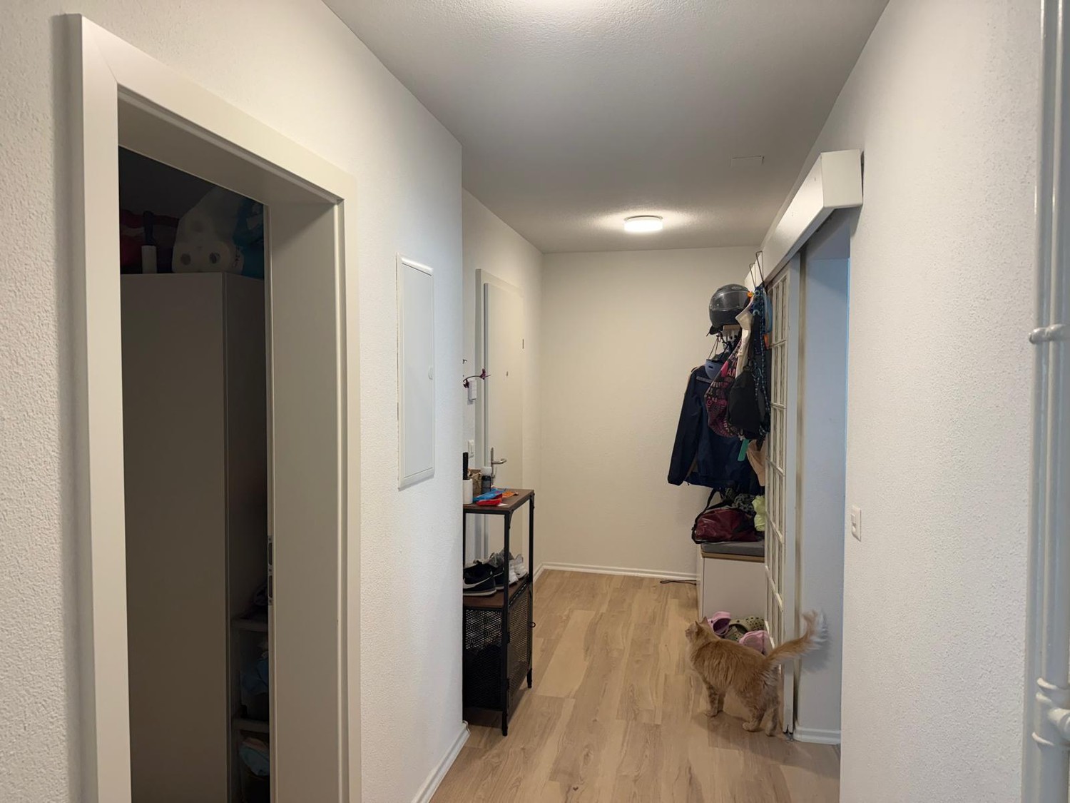 3 ½ rooms apartment, Foto 7 von 8