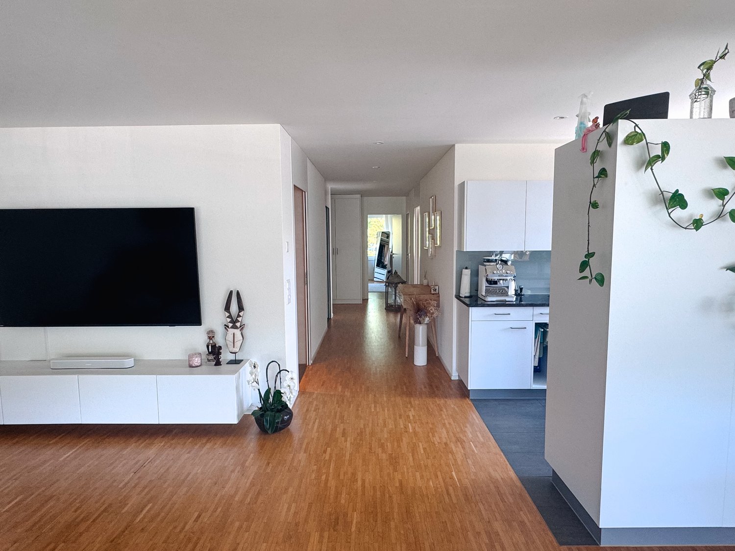 Appartamento arredato di 3 ½ locali