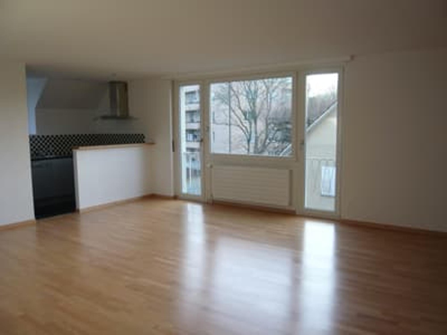 4 ½ rooms apartment