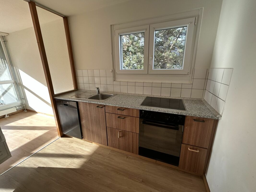5 ½ rooms apartment