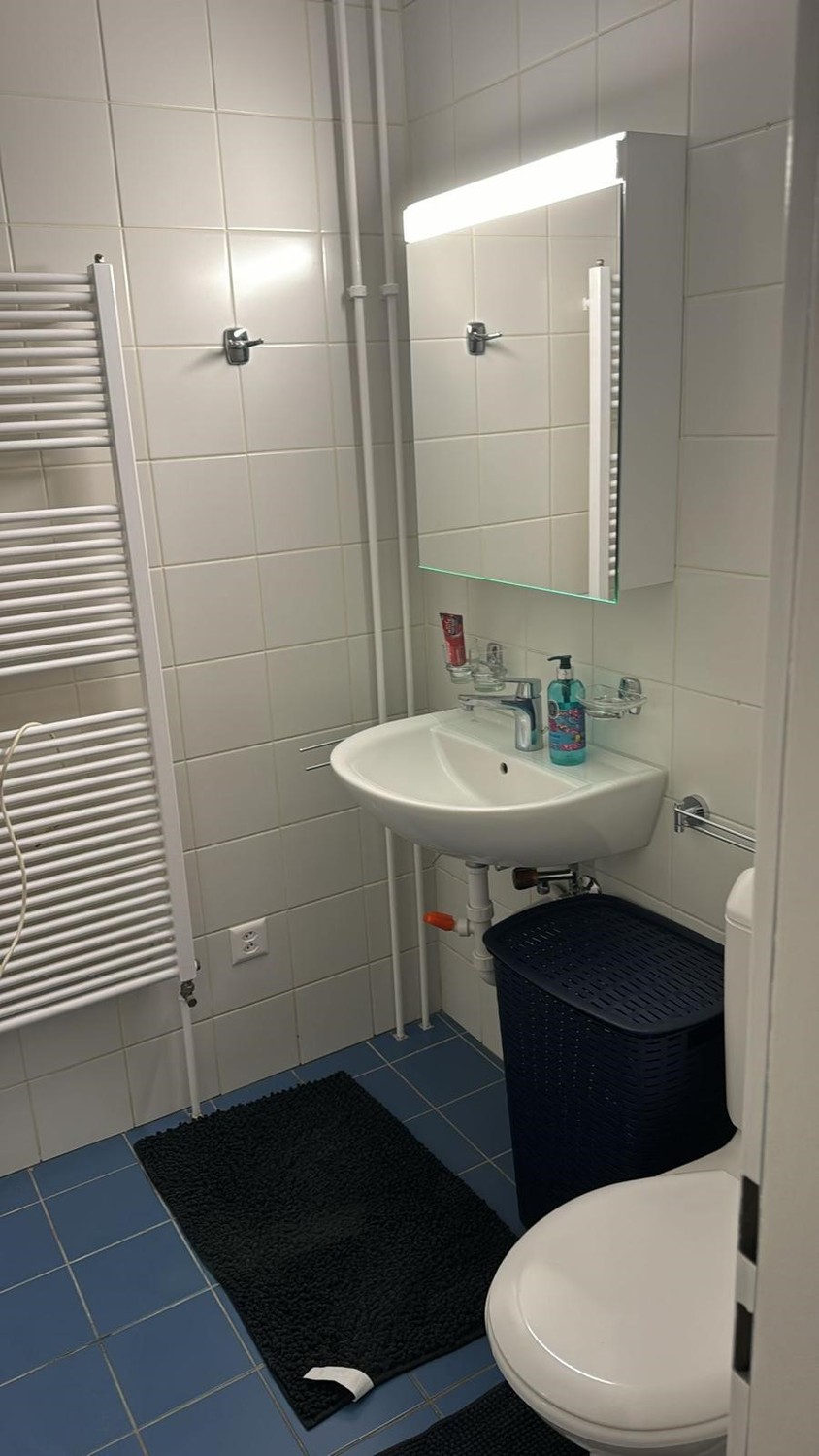 3 ½ Zimmer Wohnung, Foto 9 von 9