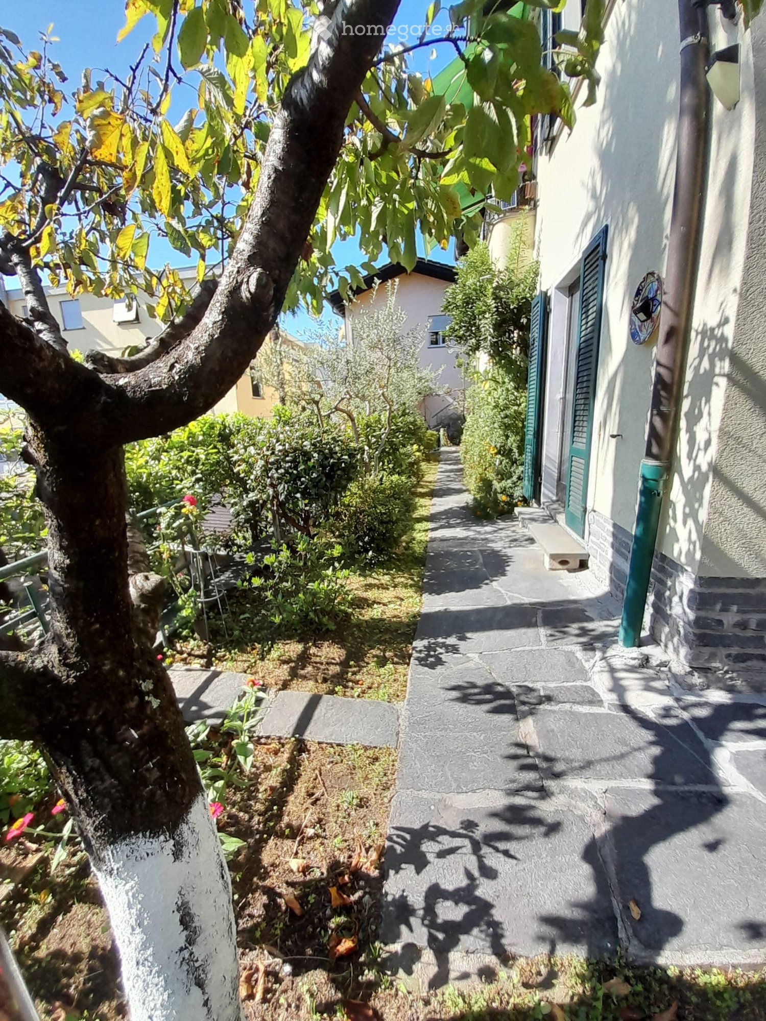 3-Zimmer-Wohnung
Apartment im Erdgeschoss eines Zweifamilienhauses, ideal für 2 Personen oder mit kleinem Kind, sonnig, 2 durchgehende Zimmer, Wohnküche, Aussenparkplatz, kleiner Gemeinschaftsgarten, 1350.- plus Nebenkosten, kleine Tiere erlaubt, frei ab 15. Oktober,
Anrufen 079/3035066
Locarno Alt, Foto 1 von 5