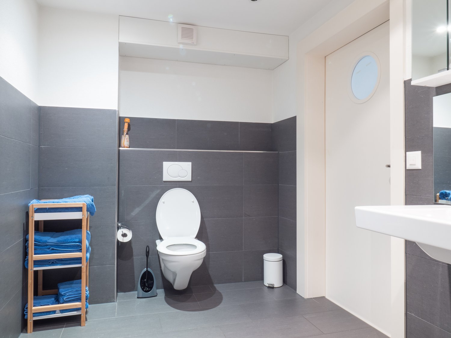 Appartement meublé de 3 ½ pièces