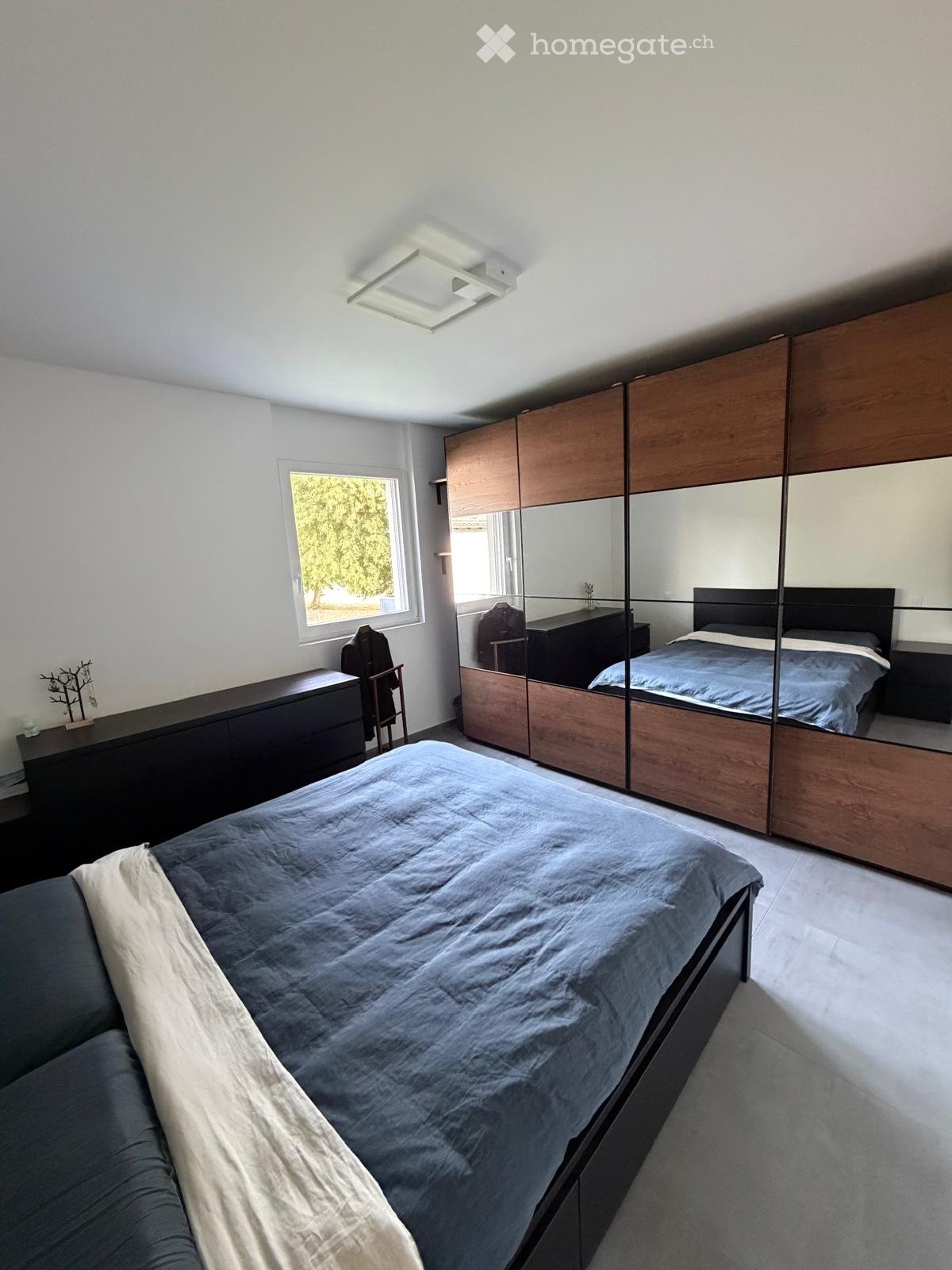 2 ½ Zimmer-Wohnung