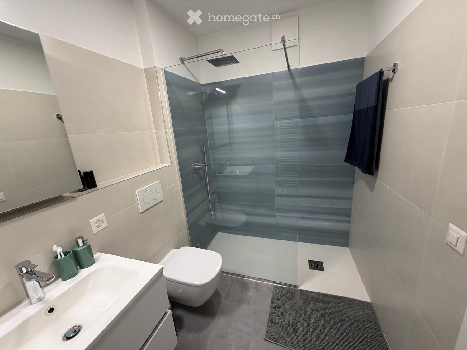 2 ½ Zimmer-Wohnung