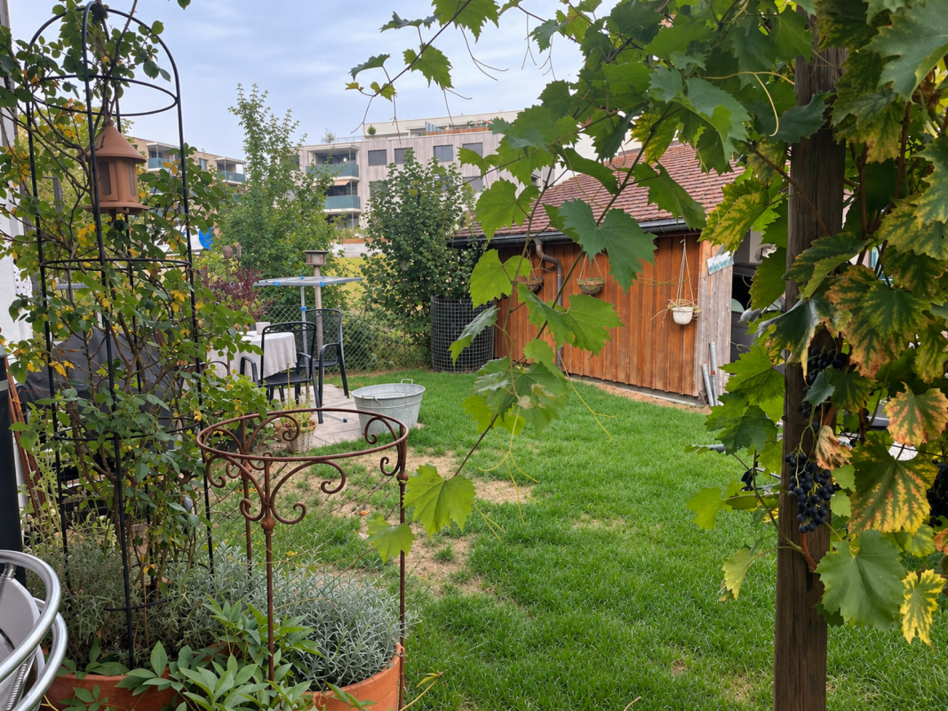 5 ½ rooms apartment