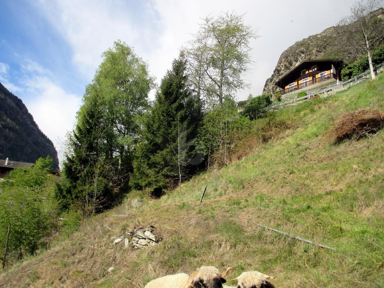 3940m² building land