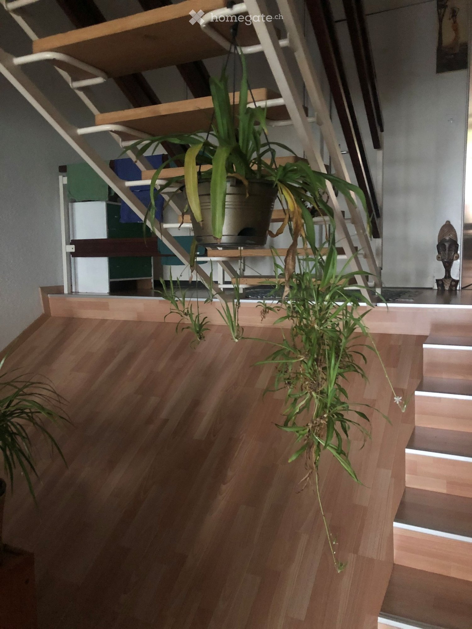3-Zimmer-Wohnung