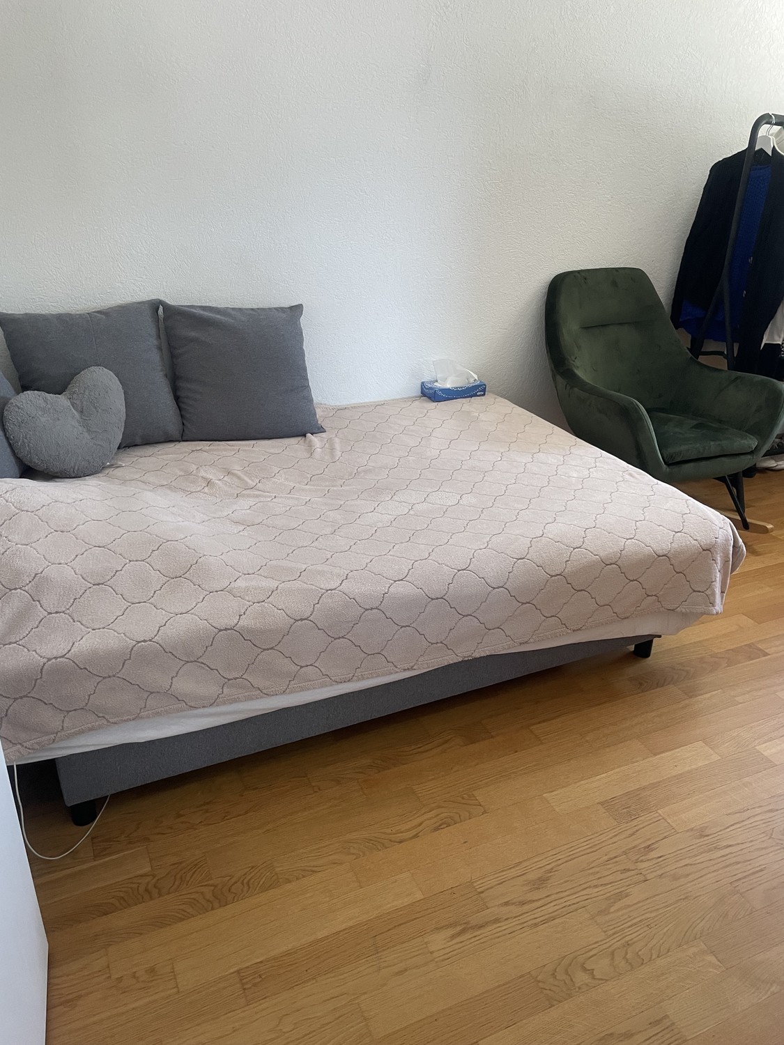 Room in a shared flat