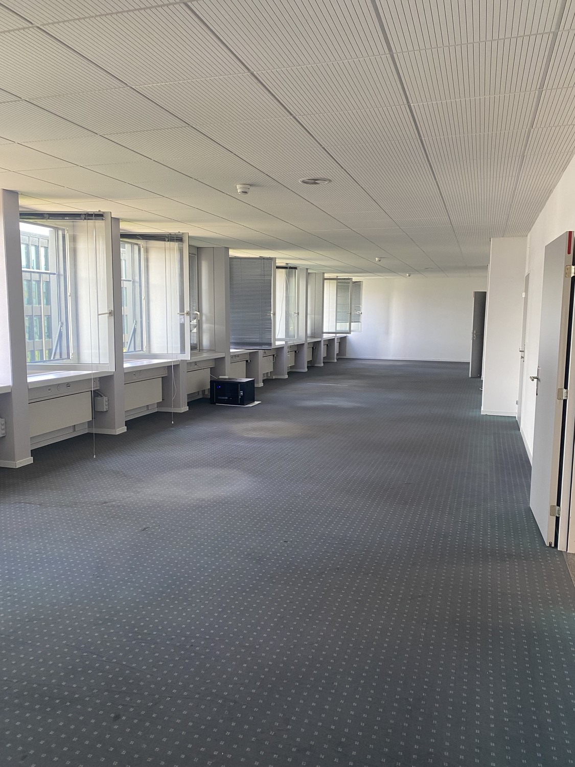 89m² ufficio