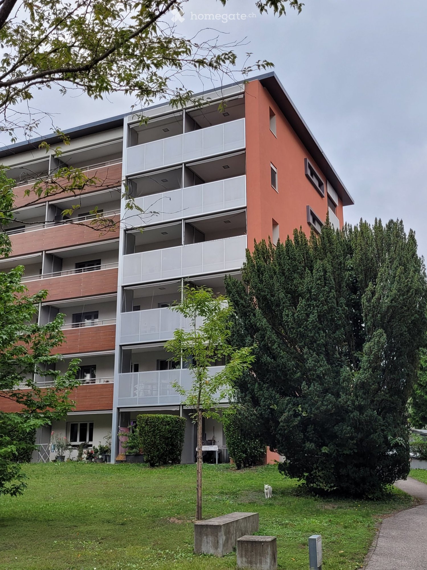 3 ½ Zimmer-Wohnung
