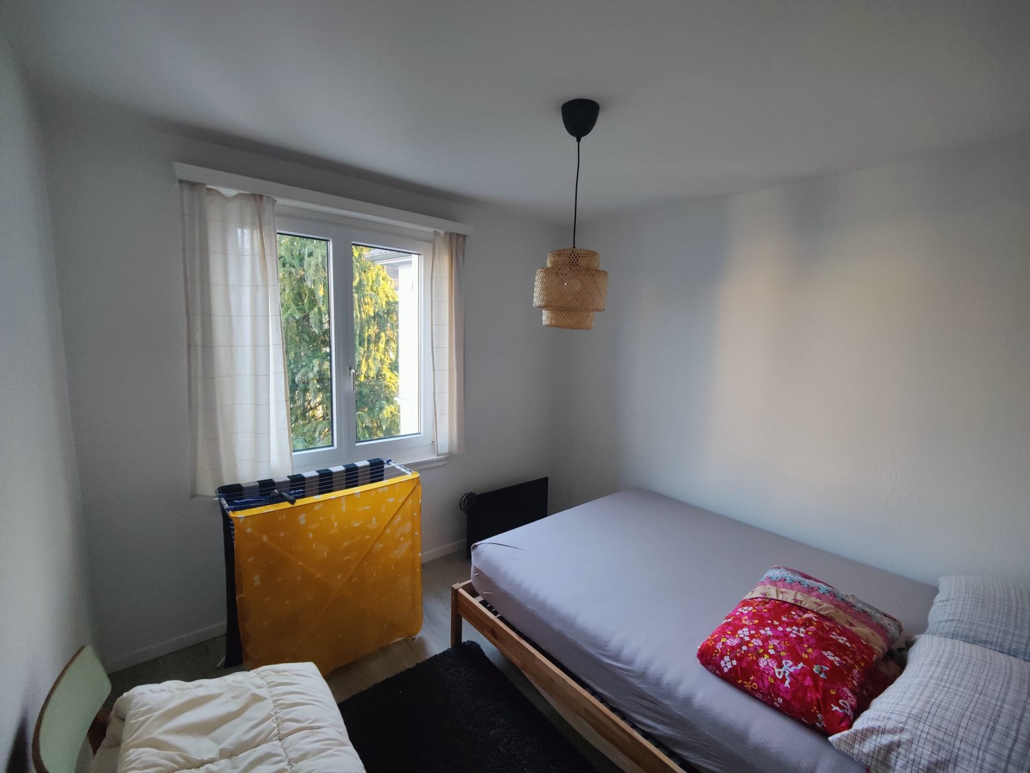 Room in a shared flat