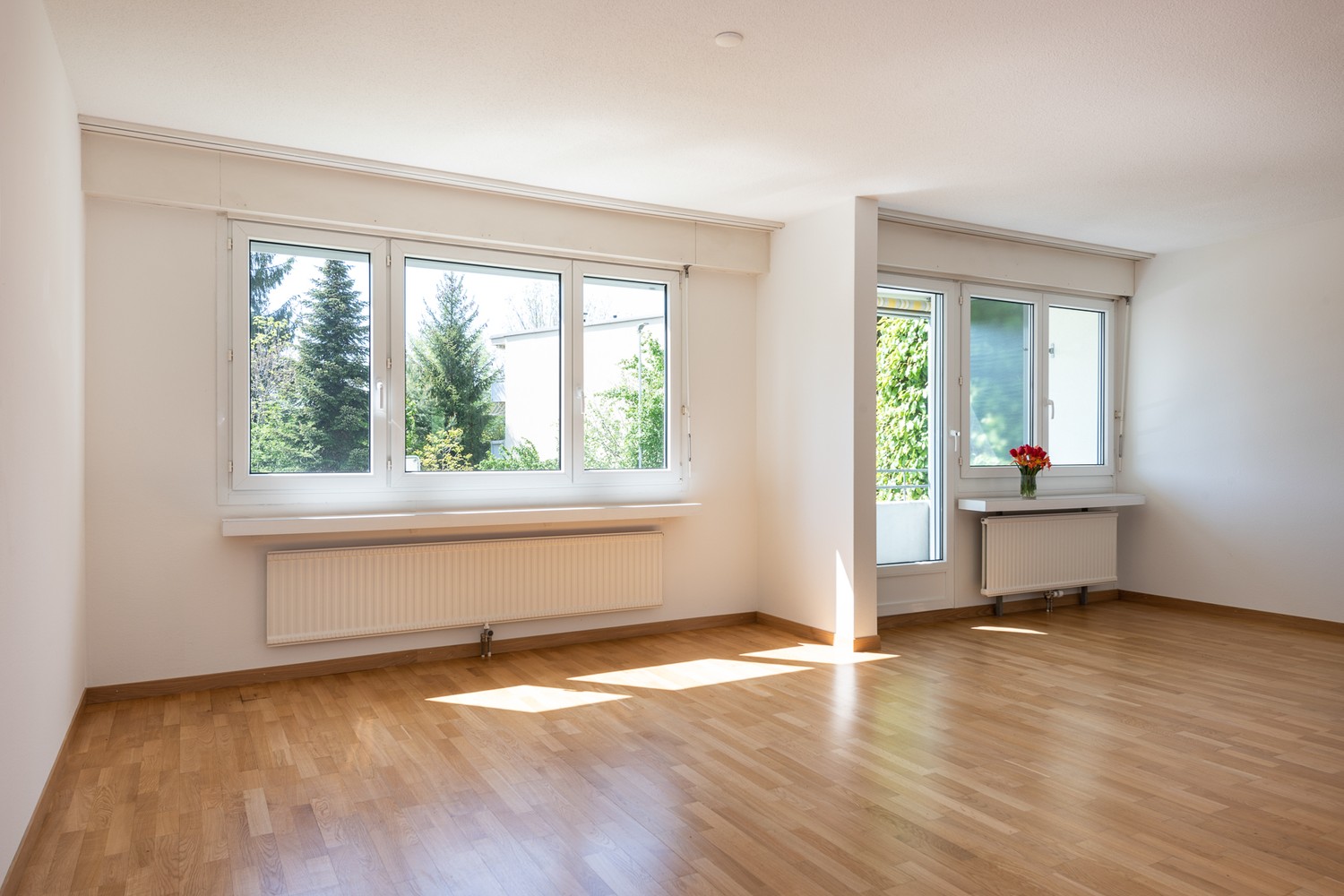 Appartement de 3 ½ pièces