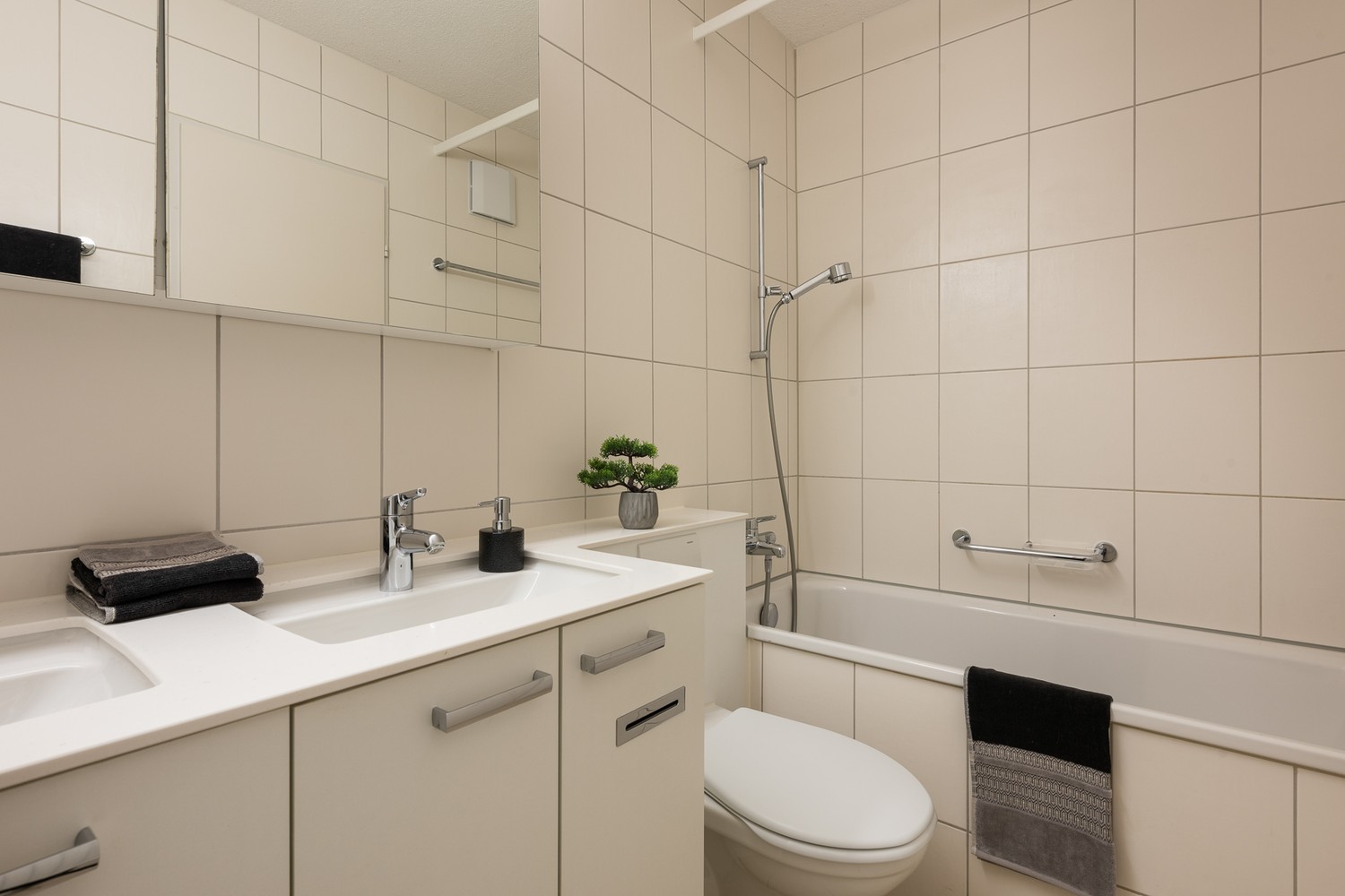 Appartement de 3 ½ pièces