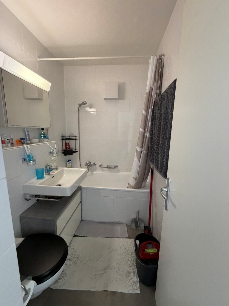 3 ½ rooms apartment (6)
