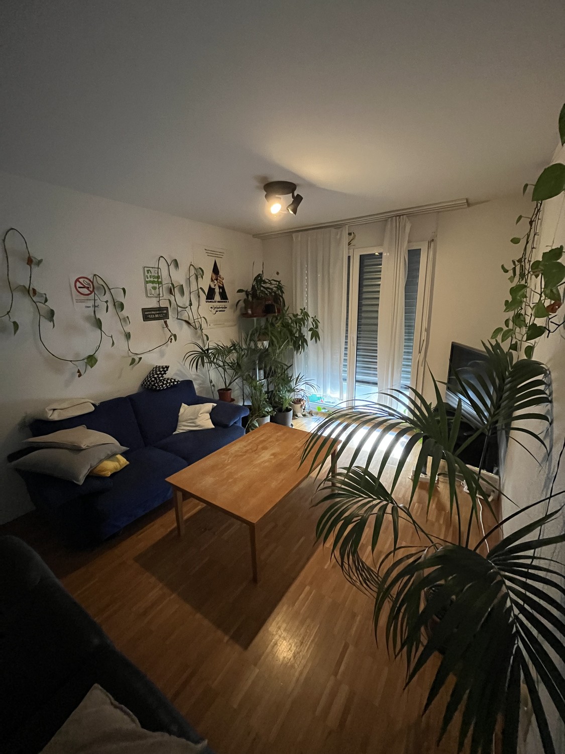 Zimmer in einer WG, Foto 4 von 7