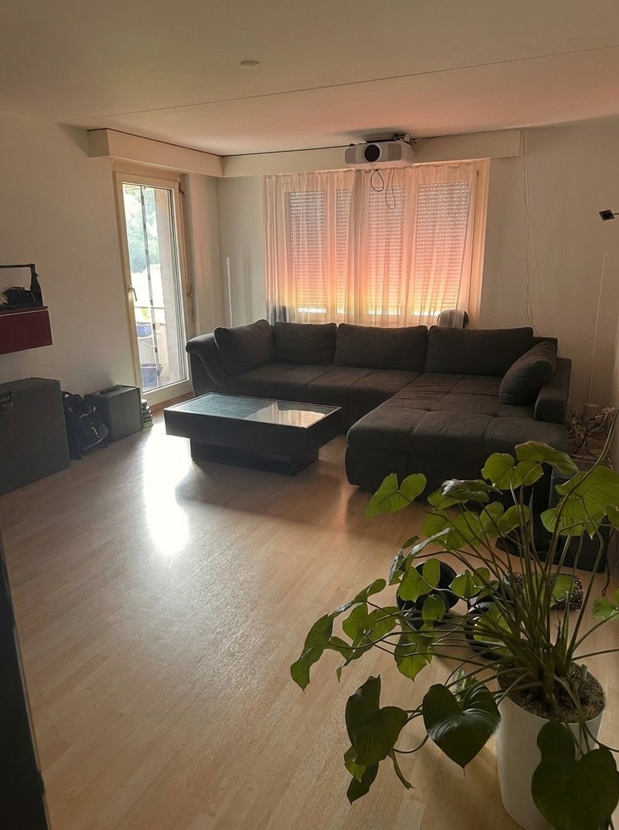 Appartement de 3 ½ pièces