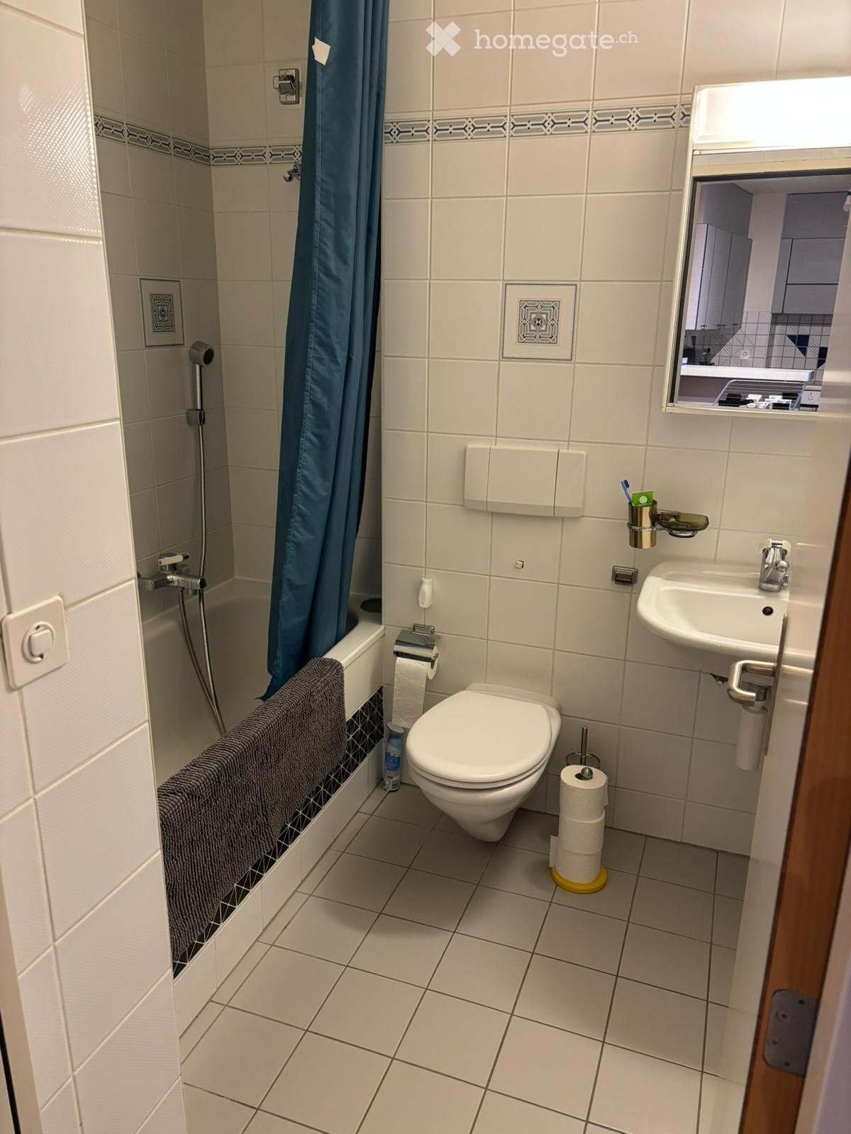 2 ½ Zimmer-Wohnung