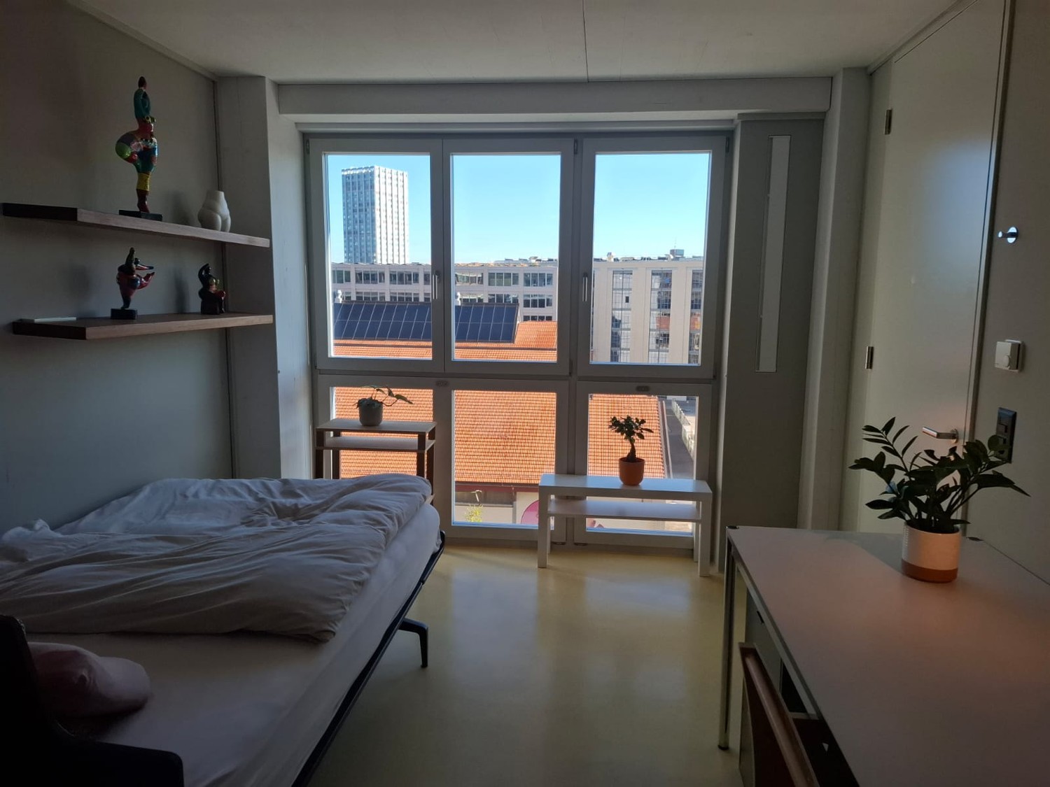 Room in a shared flat