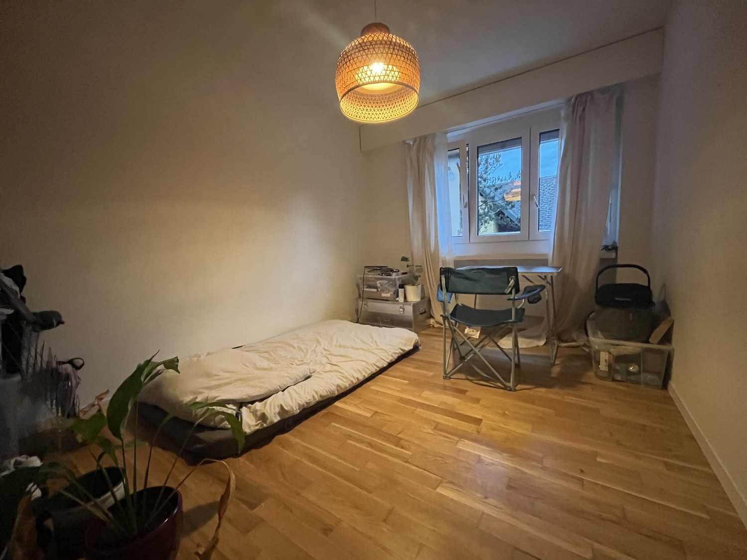Room in a shared flat