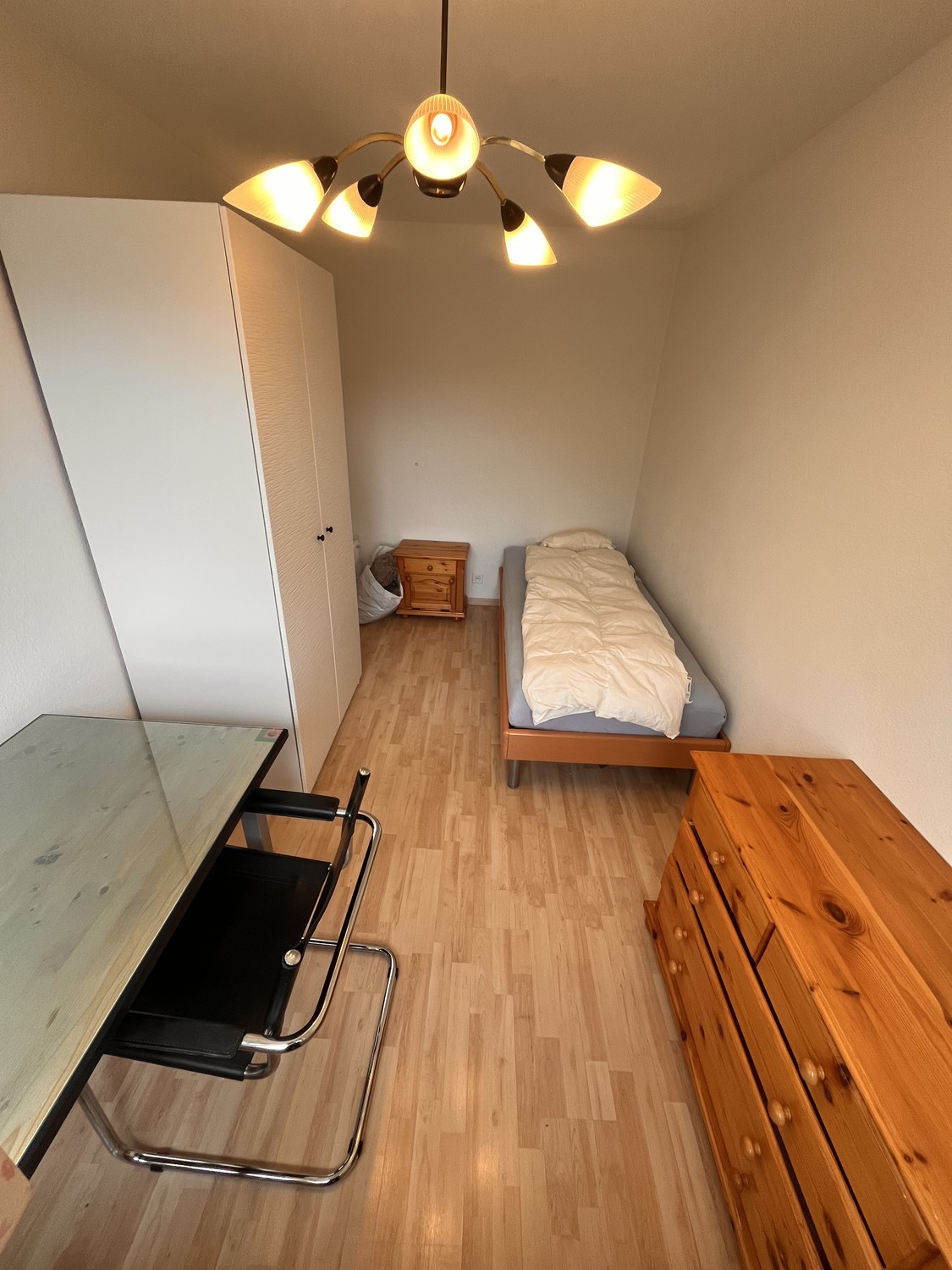 Room in a shared flat