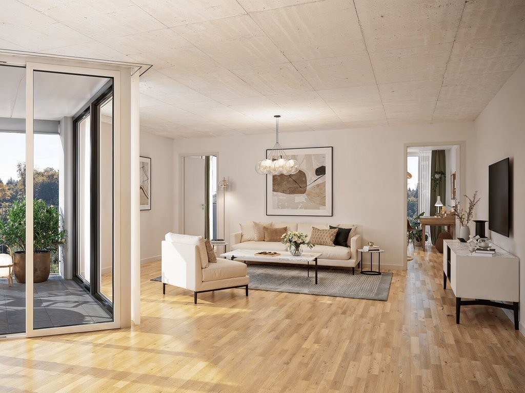 2 ½ rooms apartment