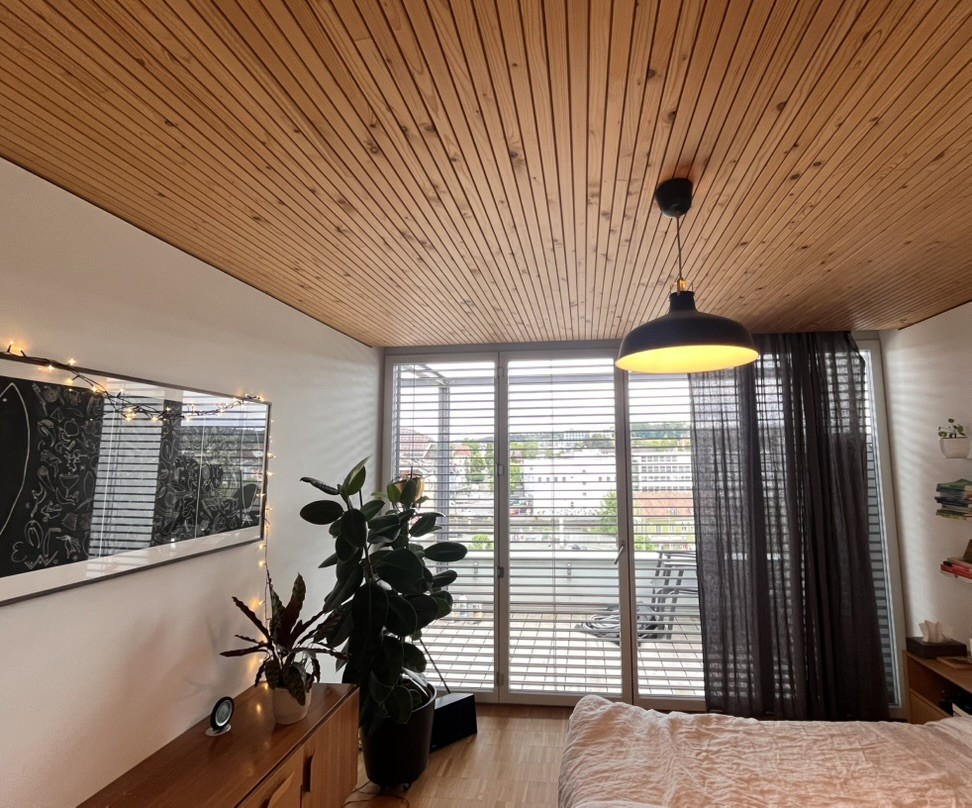 3 ½ pièces appartement au grenier