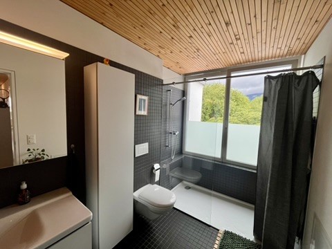 3 ½ pièces appartement au grenier