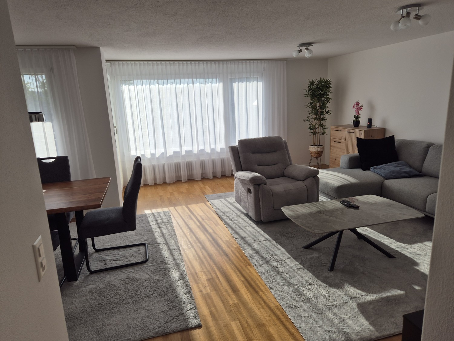Appartement de 3 ½ pièces