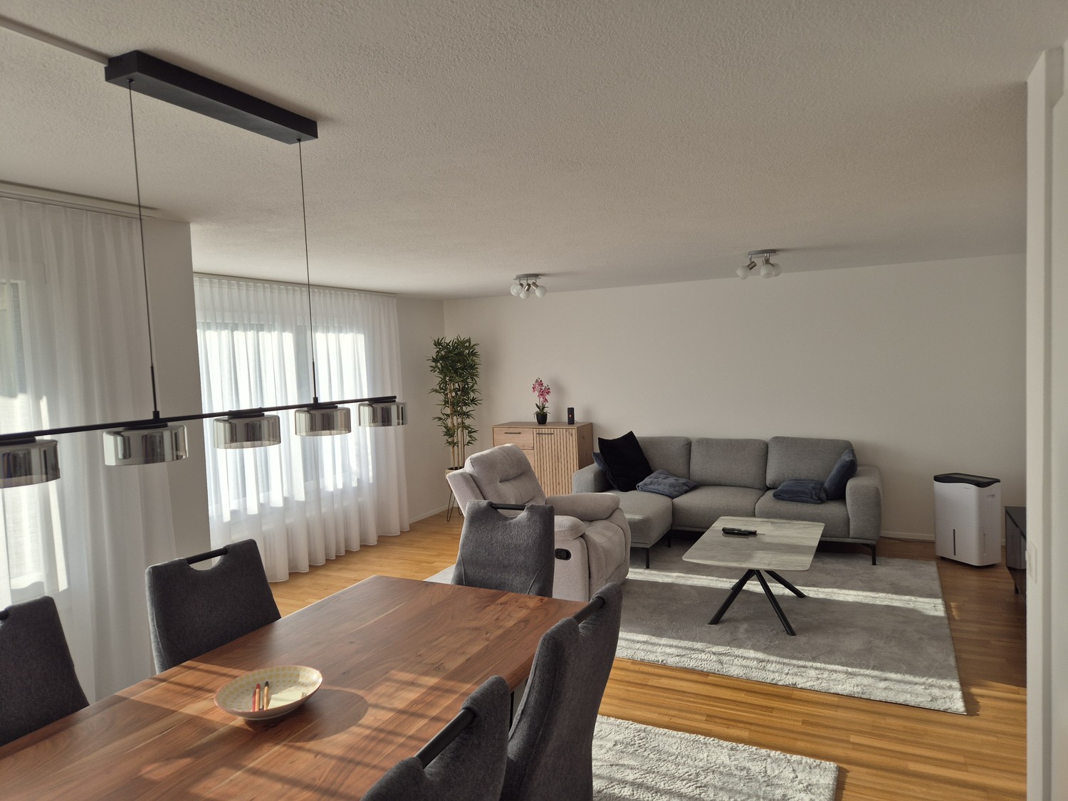 Appartement de 3 ½ pièces