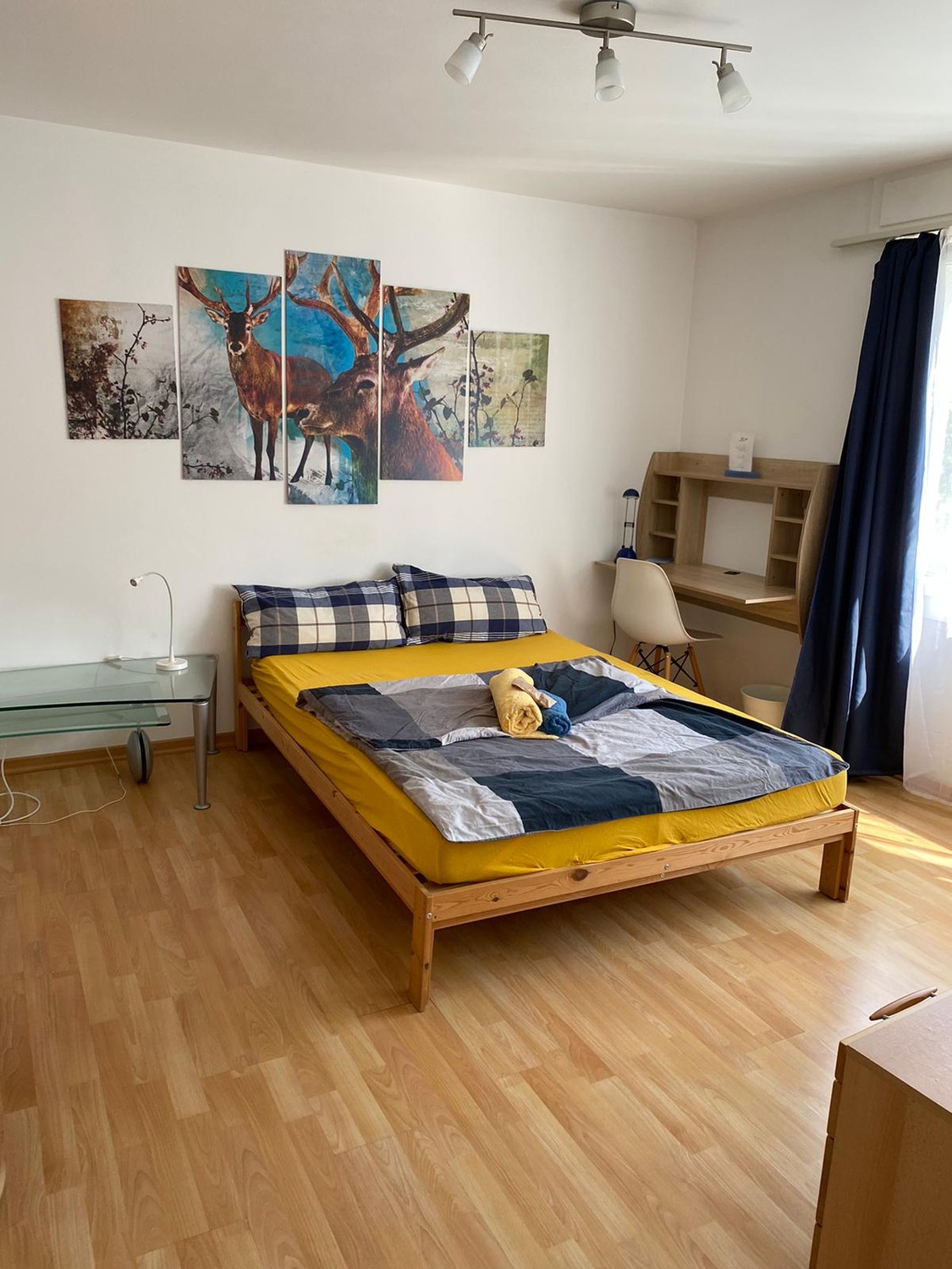 Room in a shared flat