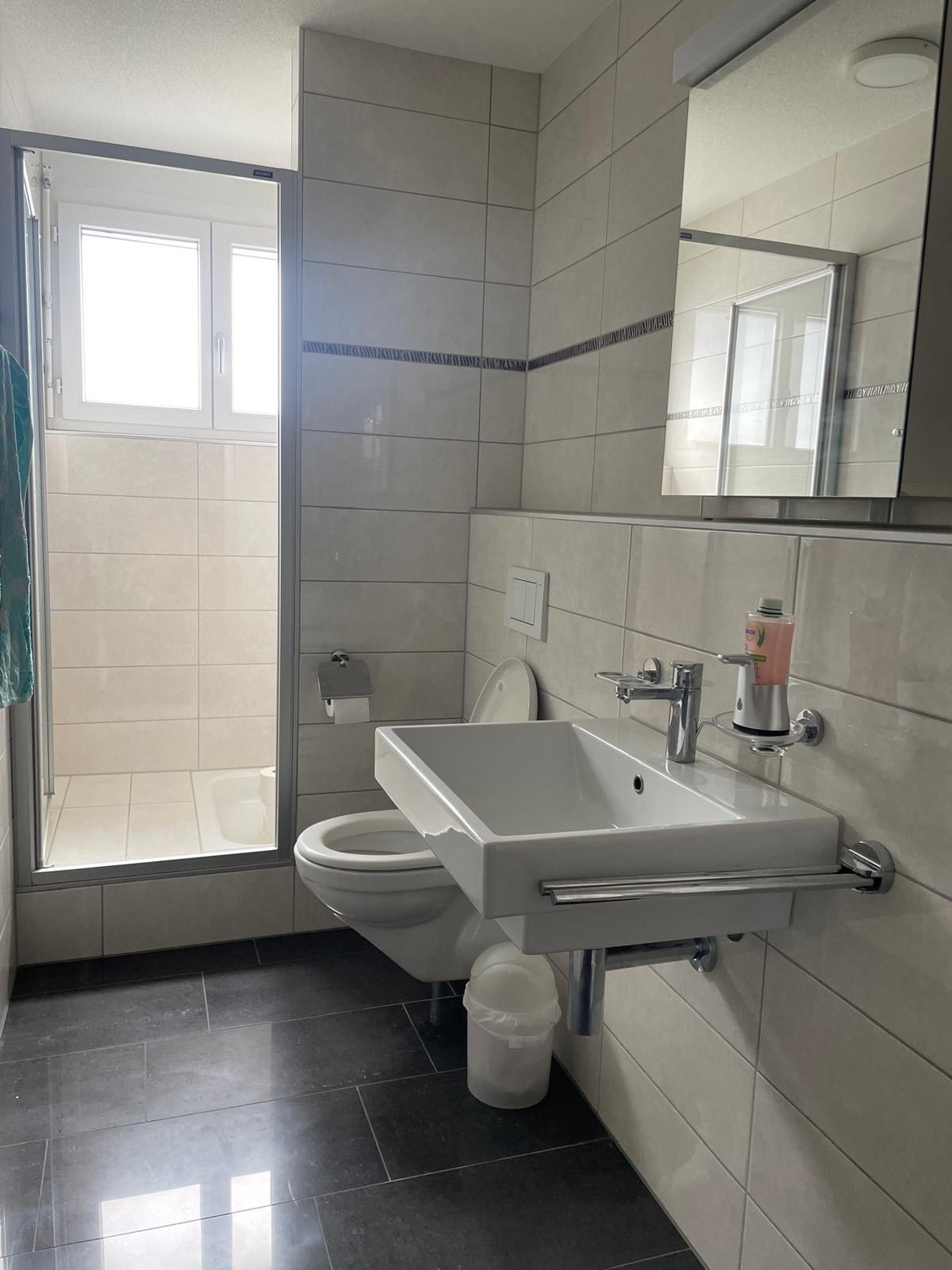 6 ½ rooms apartment