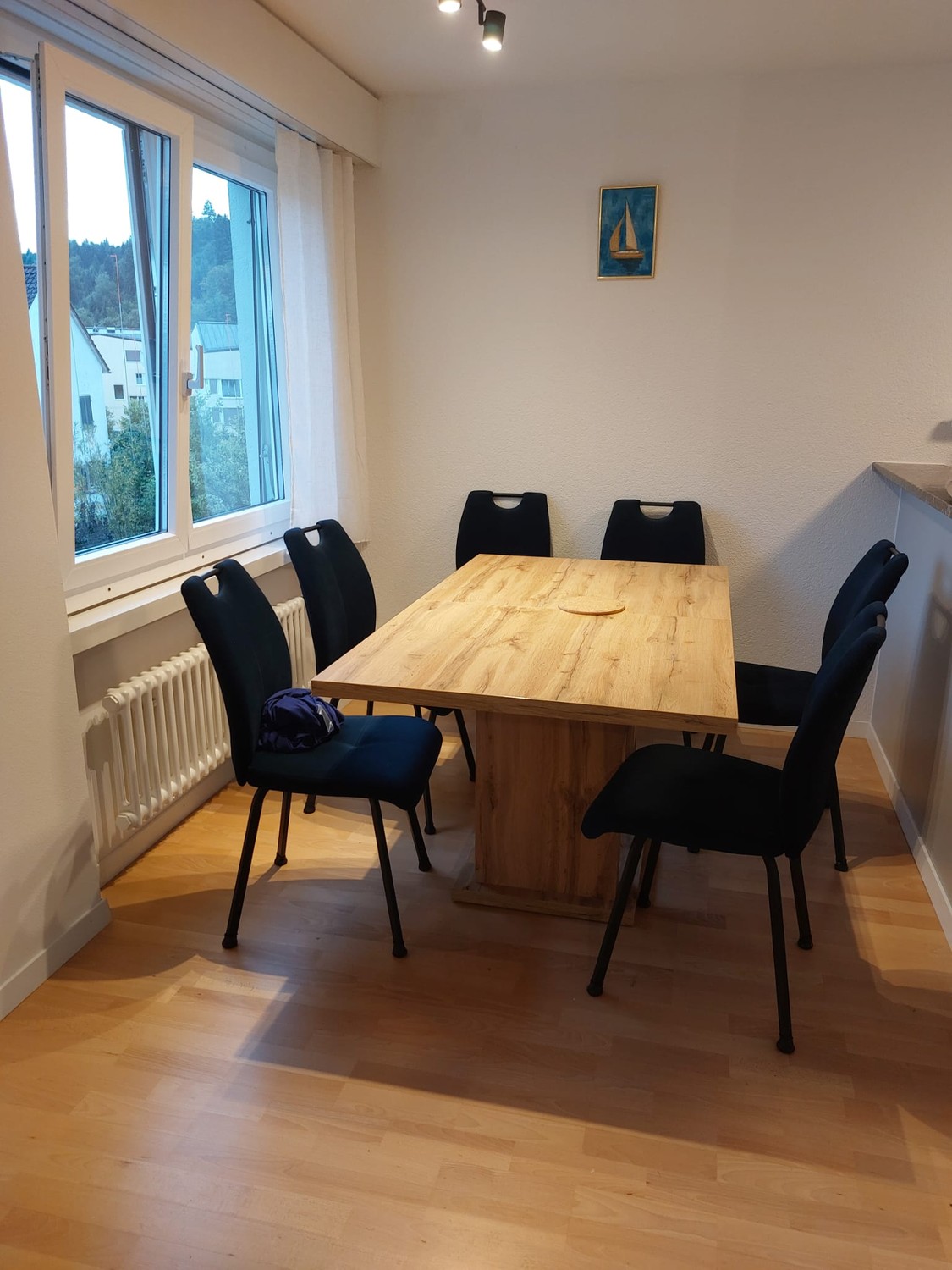 3 ½ Zimmer Wohnung