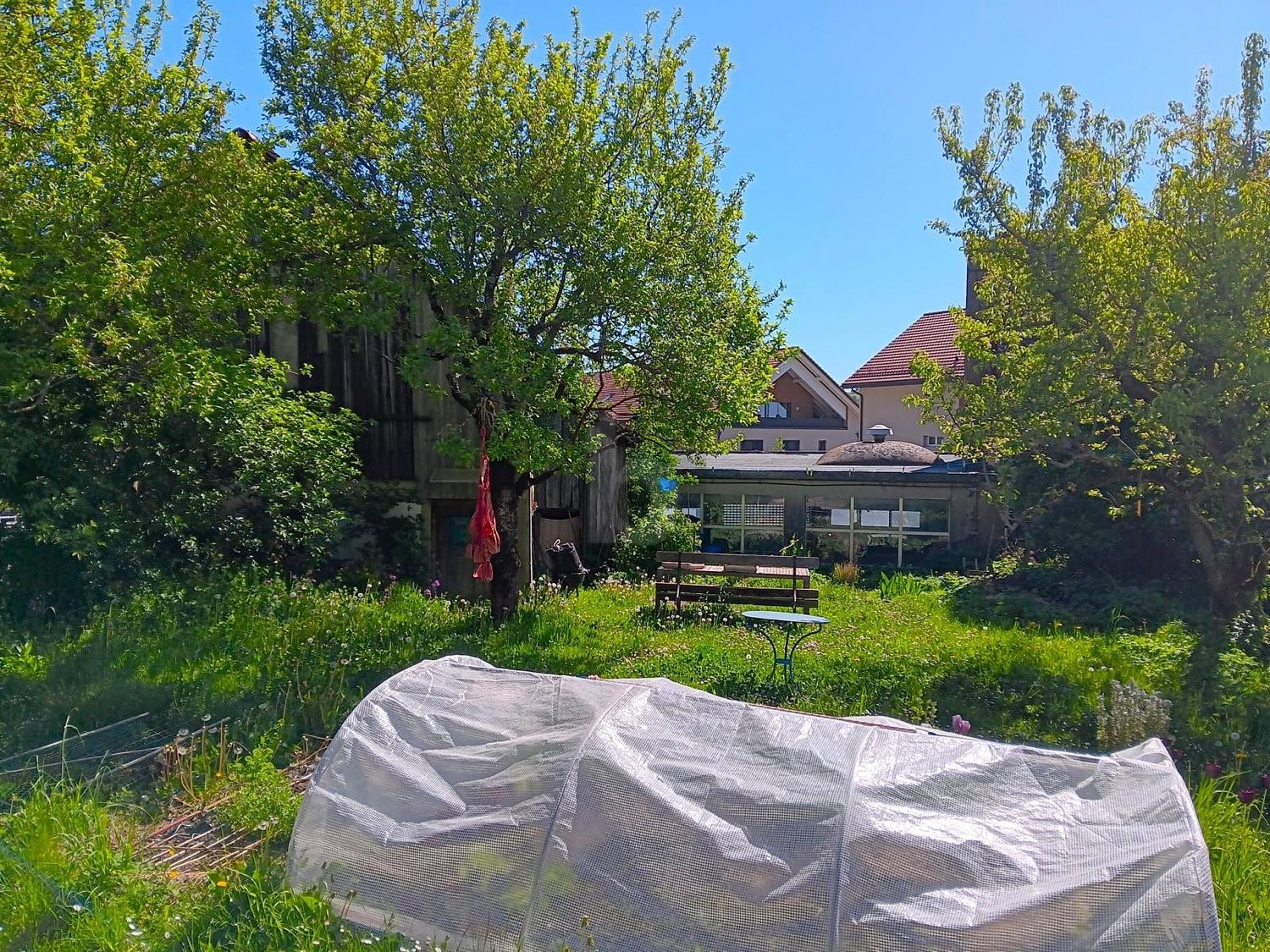 520m² terreno edificabile