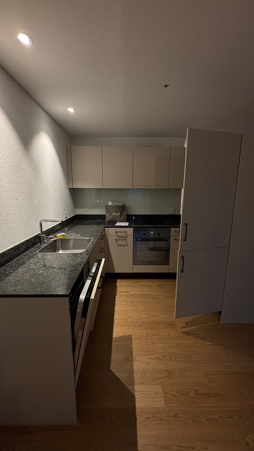 3 ½ Zimmer Wohnung