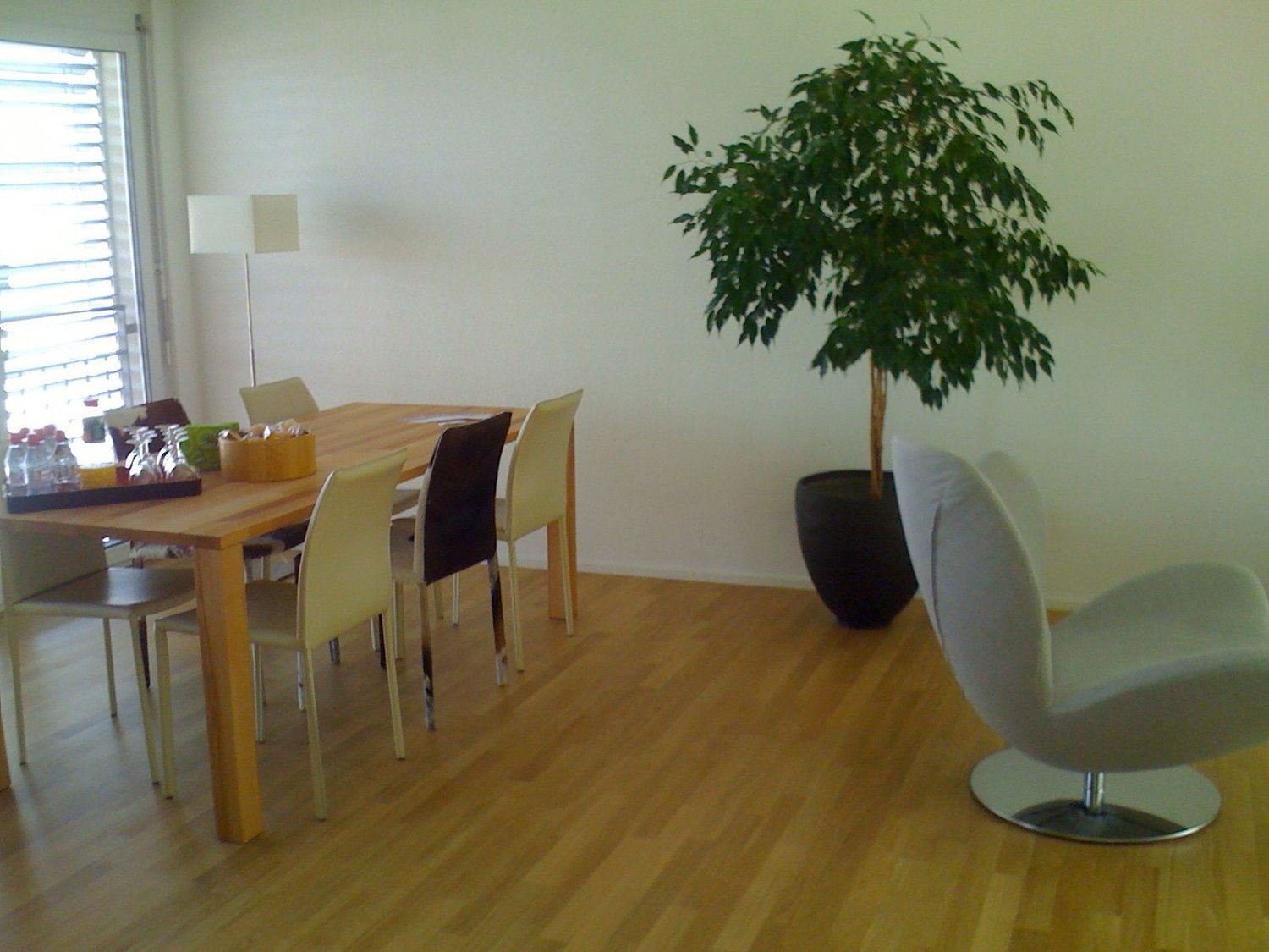 Appartamento mobilato di 3 ½ locali