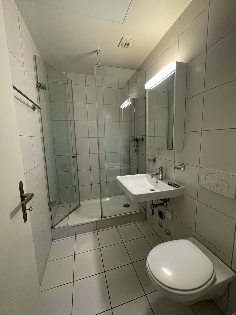 4 ½ Zimmer-Wohnung