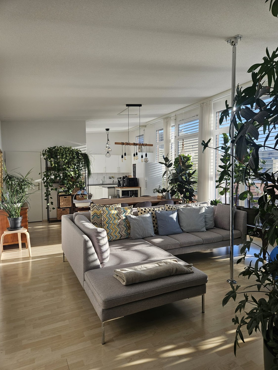 4 ½ rooms apartment