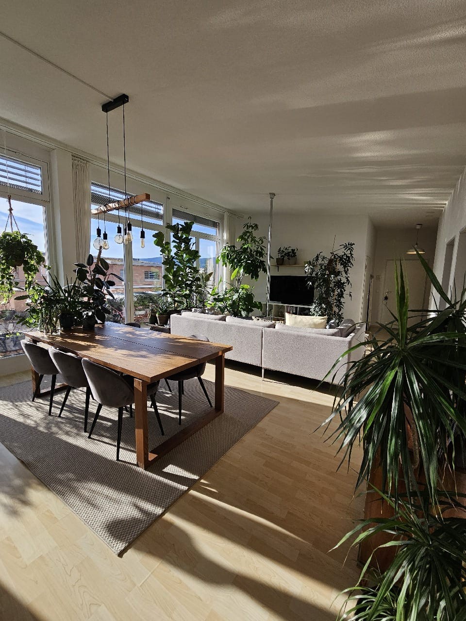 4 ½ rooms apartment
