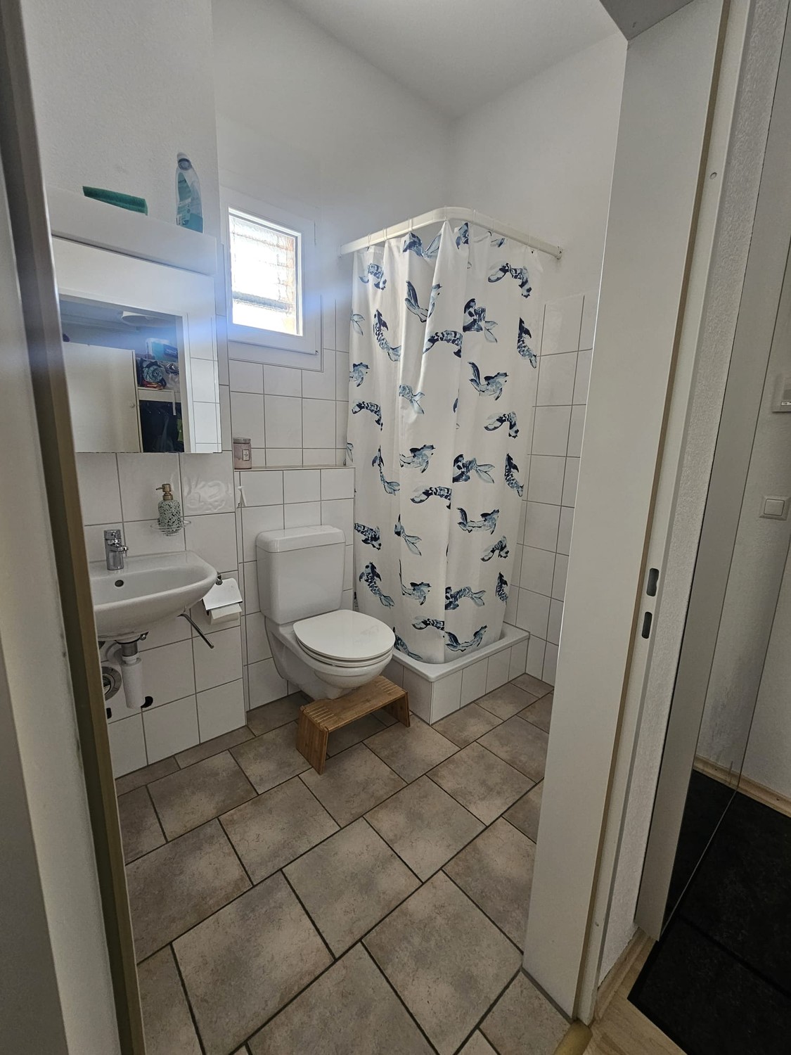 4 ½ rooms apartment