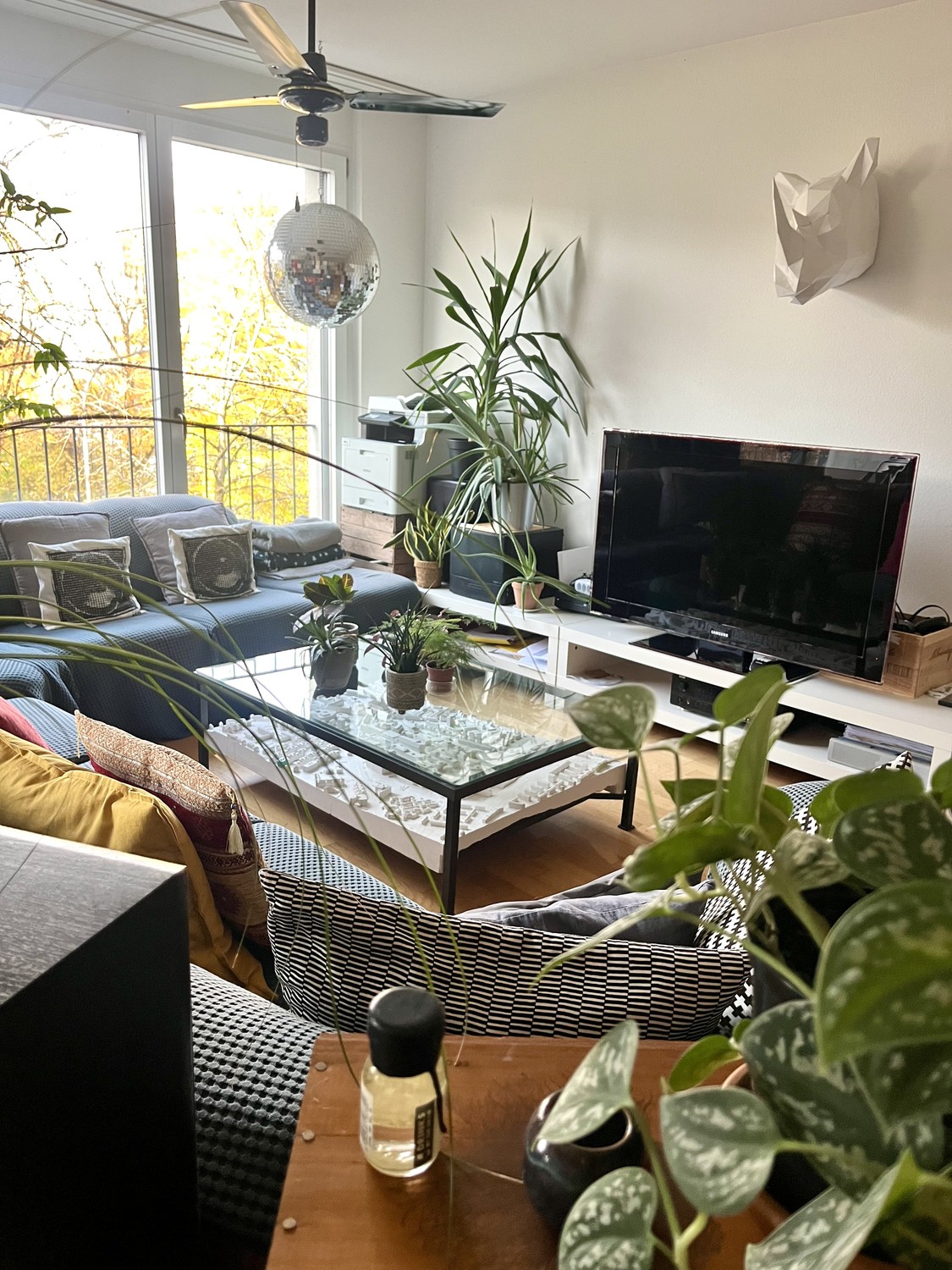 Room in a shared flat, Foto 4 von 5