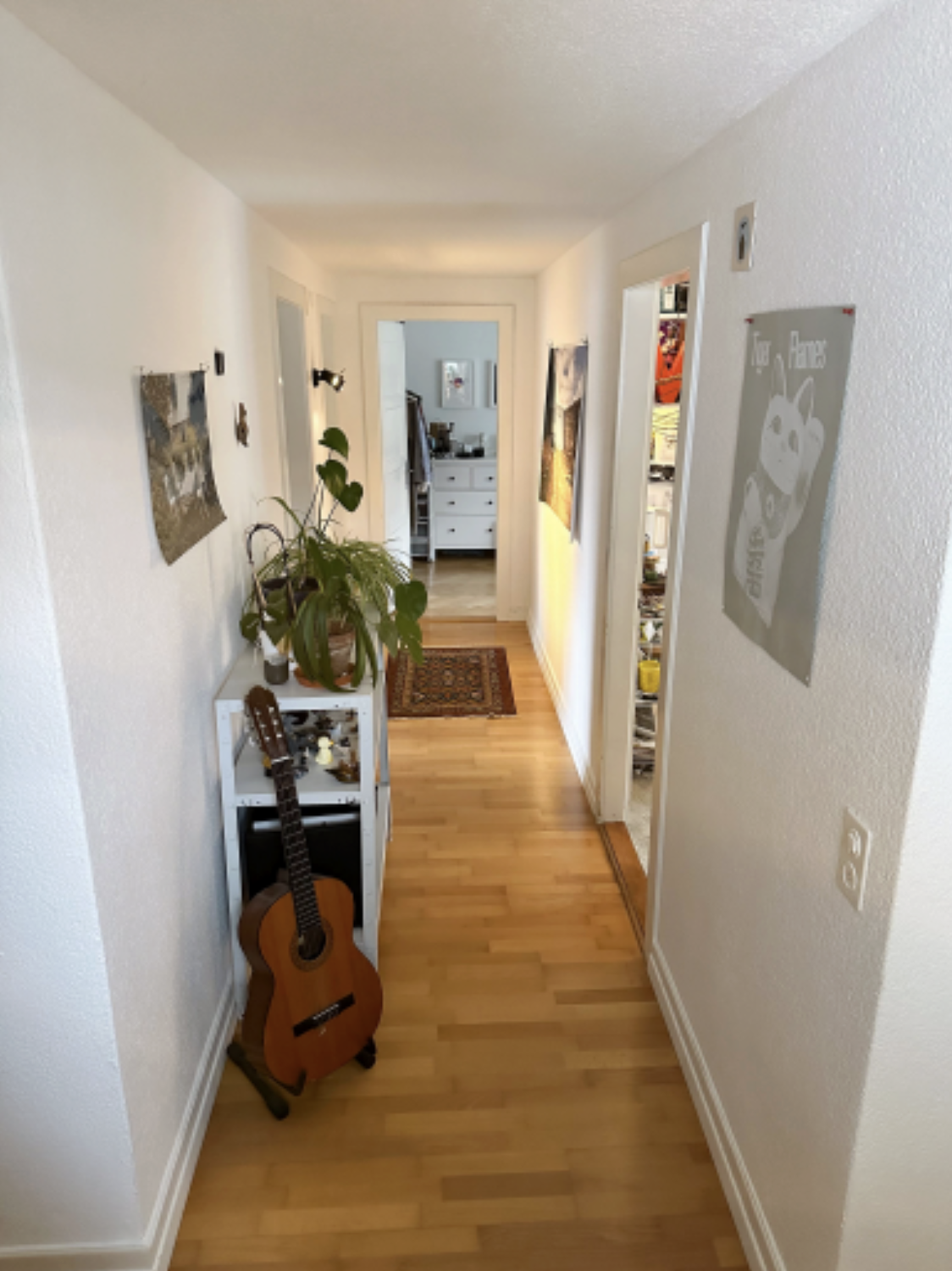 Room in a shared flat