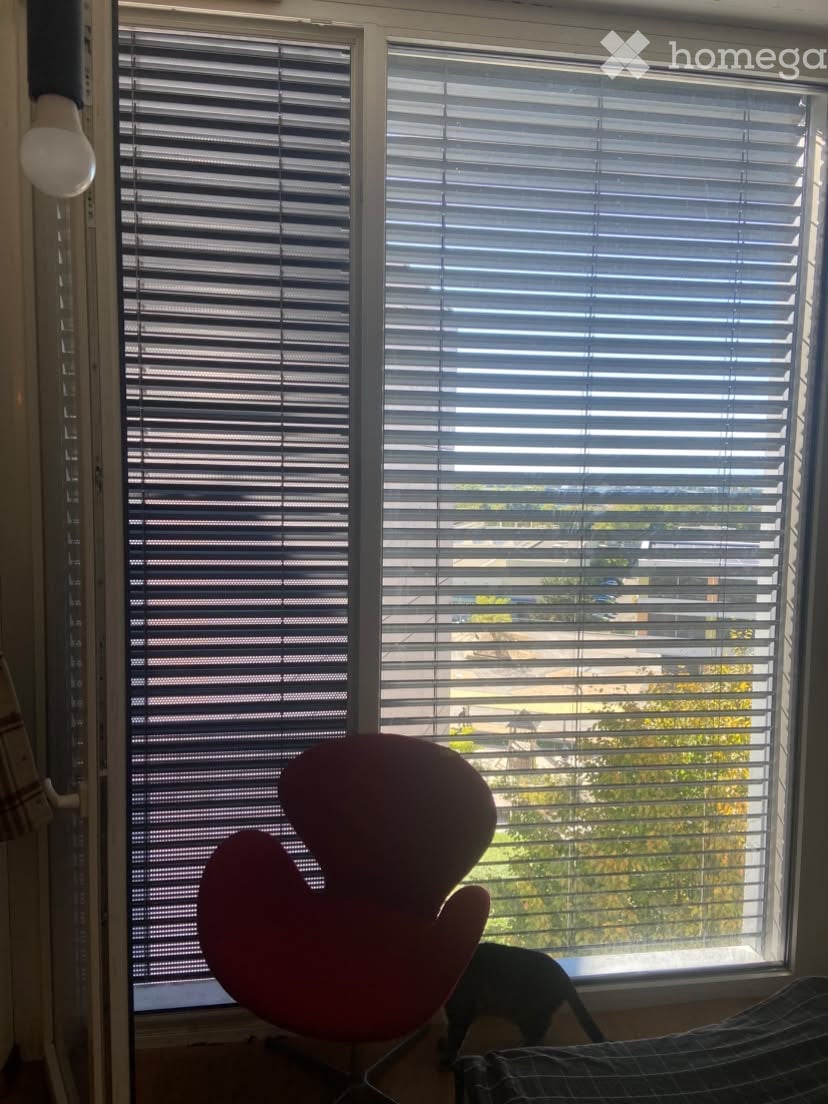1-Zimmer-Wohnung, Foto 3 von 5