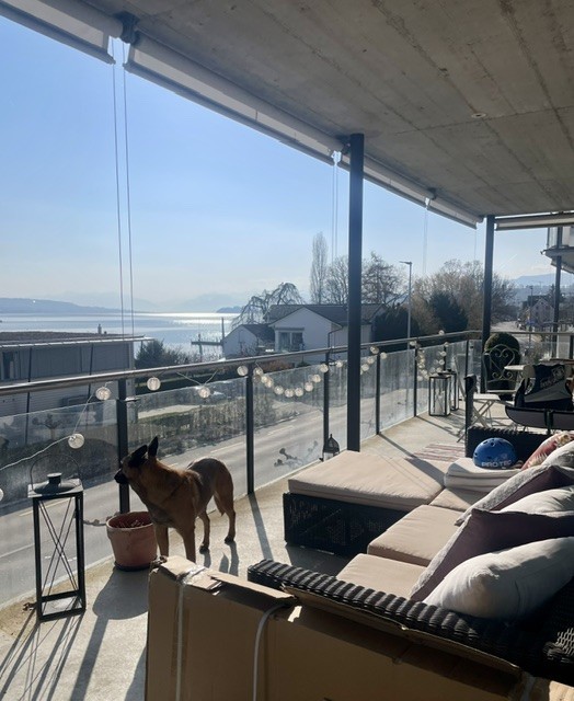 4 ½ Zimmer Wohnung, Foto 3 von 10