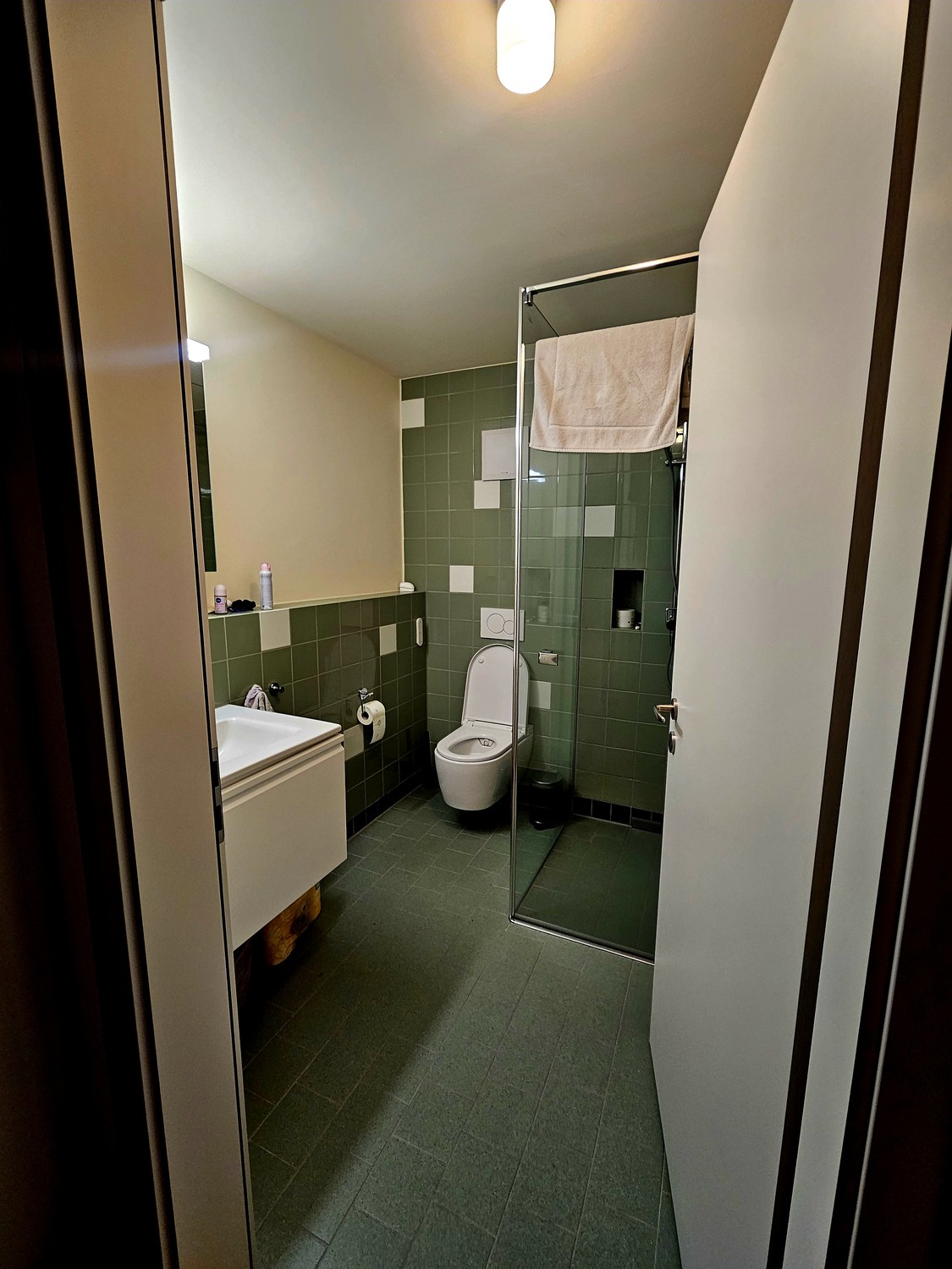 2 ½ Zimmer-Wohnung