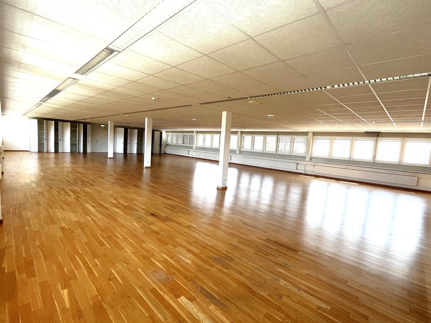175m² office