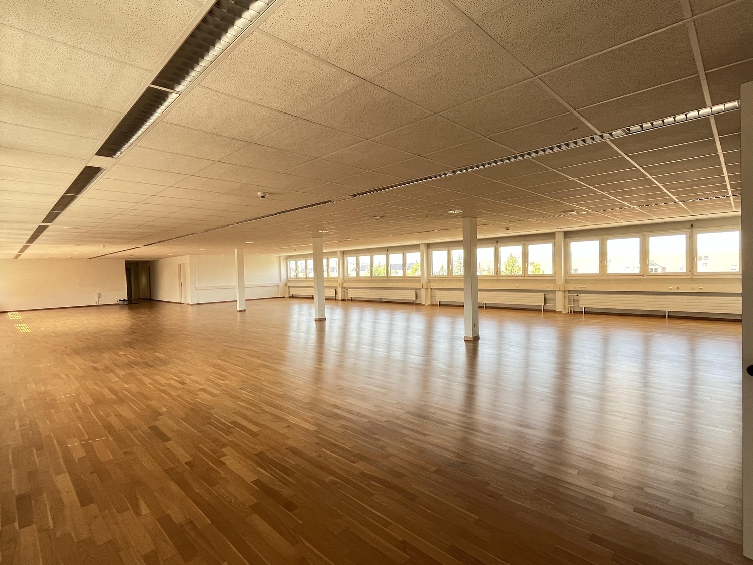 175m² office