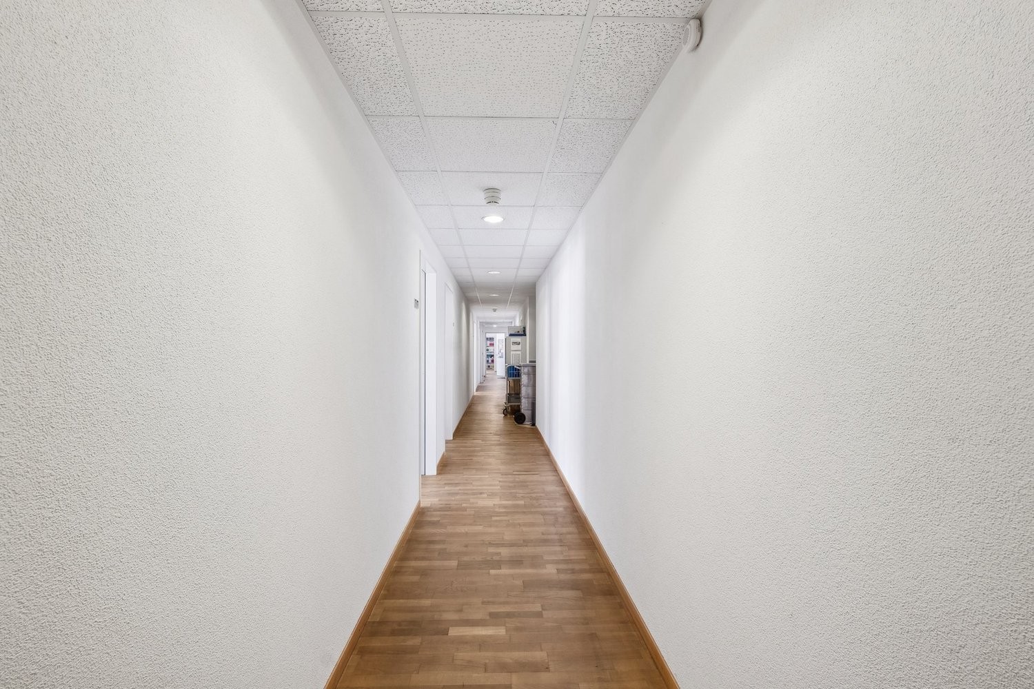 179m² office