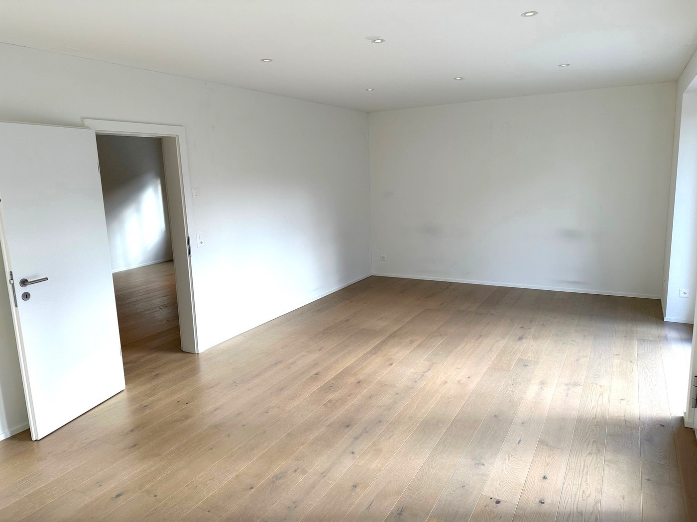 55m² commerciale