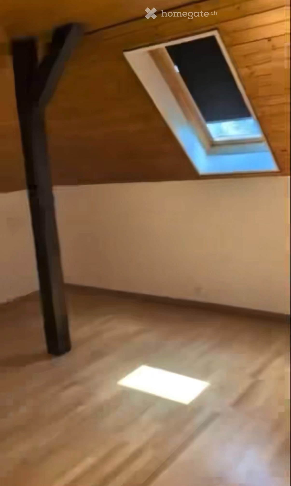 2 Zimmer Einzelzimmer
